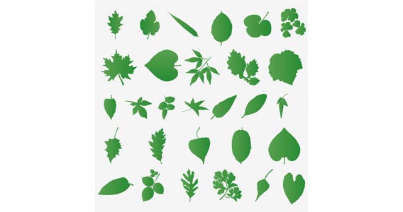 Set Of Leaf Silhouettes Free Vector Graphics