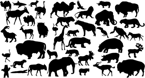 silhouettes of animals. 41 Animal Vector Silhouettes